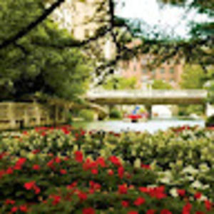 Meet your Posher, Bennie